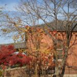 少年院(保護処分)