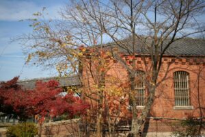 少年院(保護処分)