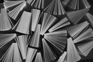 観護措置の肯定・否定事例の紹介。